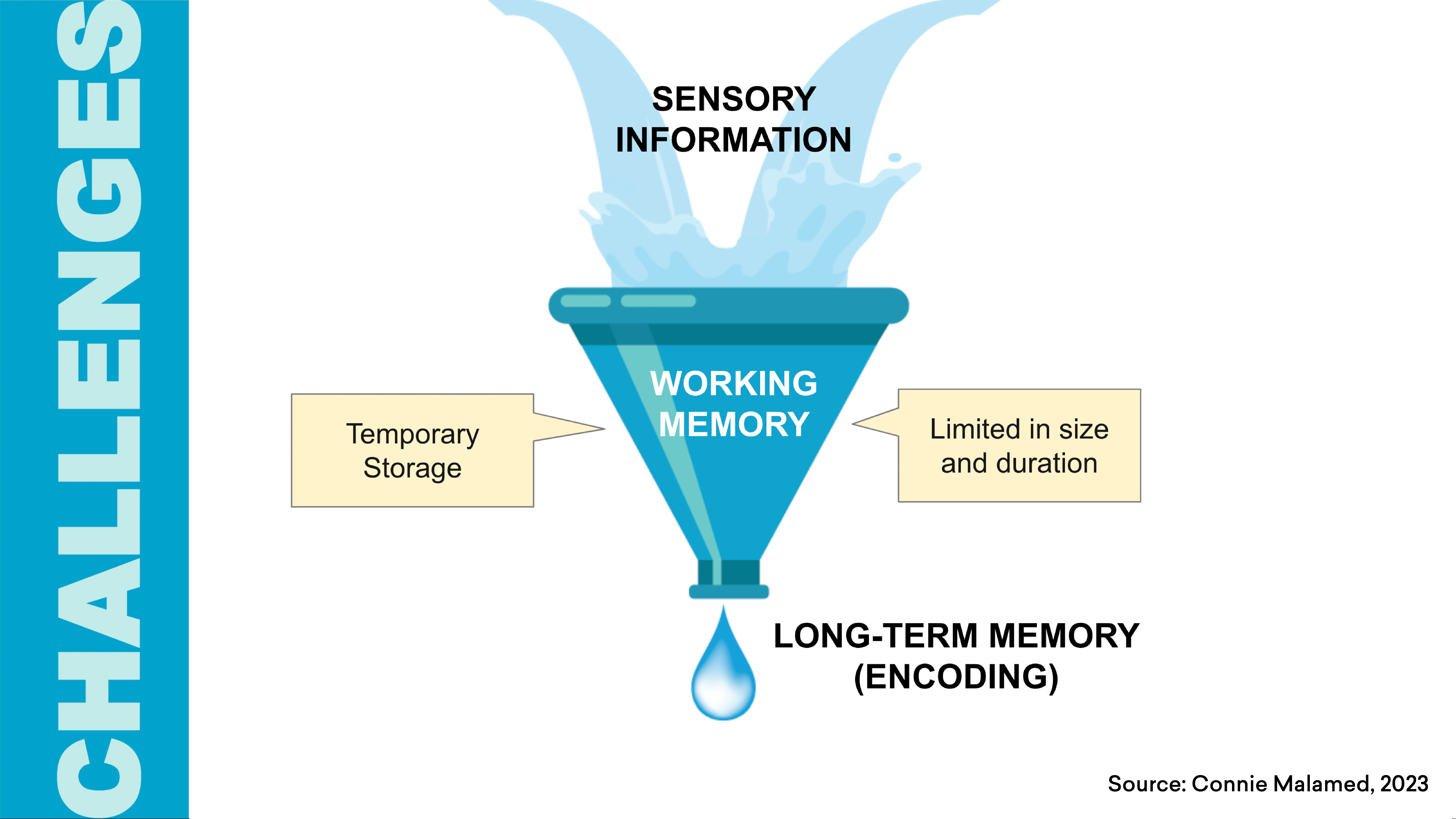 Working memory challenges