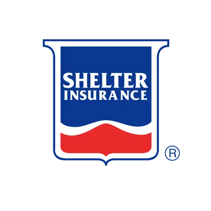 Shelter Insurance case study image